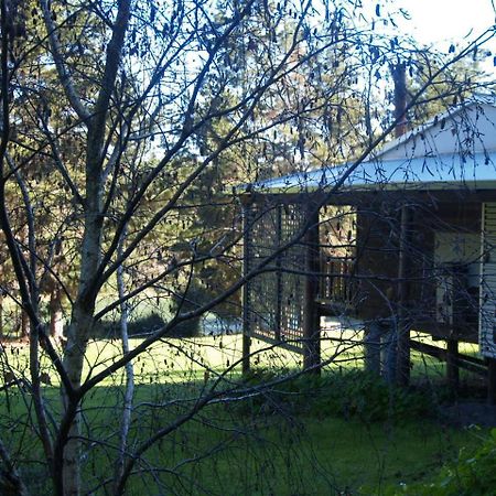 Hawke Brook Chalets Pemberton Bagian luar foto