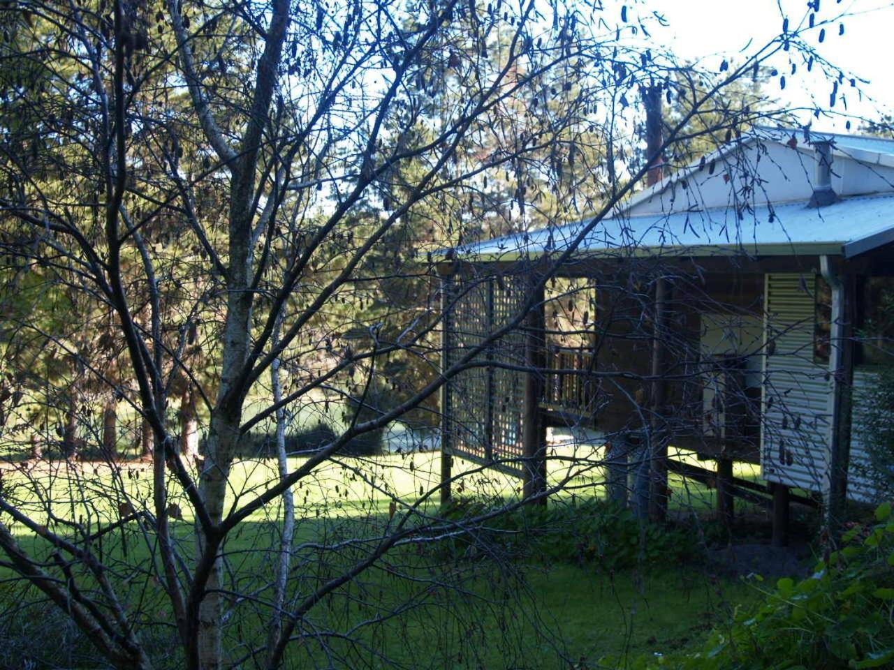 Hawke Brook Chalets Pemberton Bagian luar foto